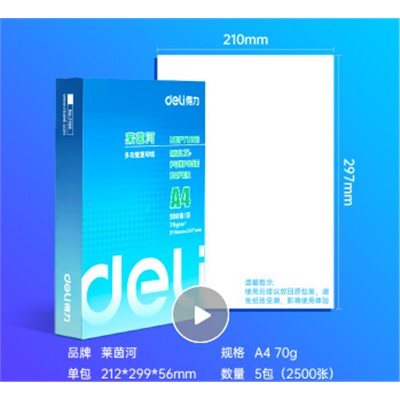 得力 萊茵河 A4 70g 復印紙 口碑優選復印紙 500張/包 5包1箱（整箱2500張）